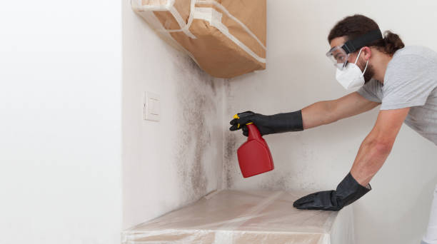 Professional Crawl Space Mold Remediation technician working in Asbury Park, NJ