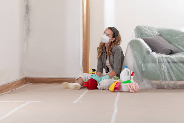 Reliable Crawl Space Mold Remediation contractor in Asbury Park, NJ by 24 Hour Mold Removal